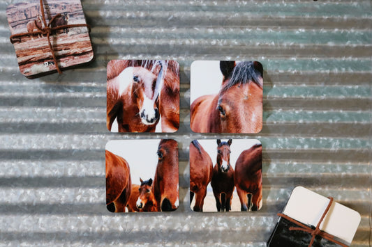 Horse Collection Coasters