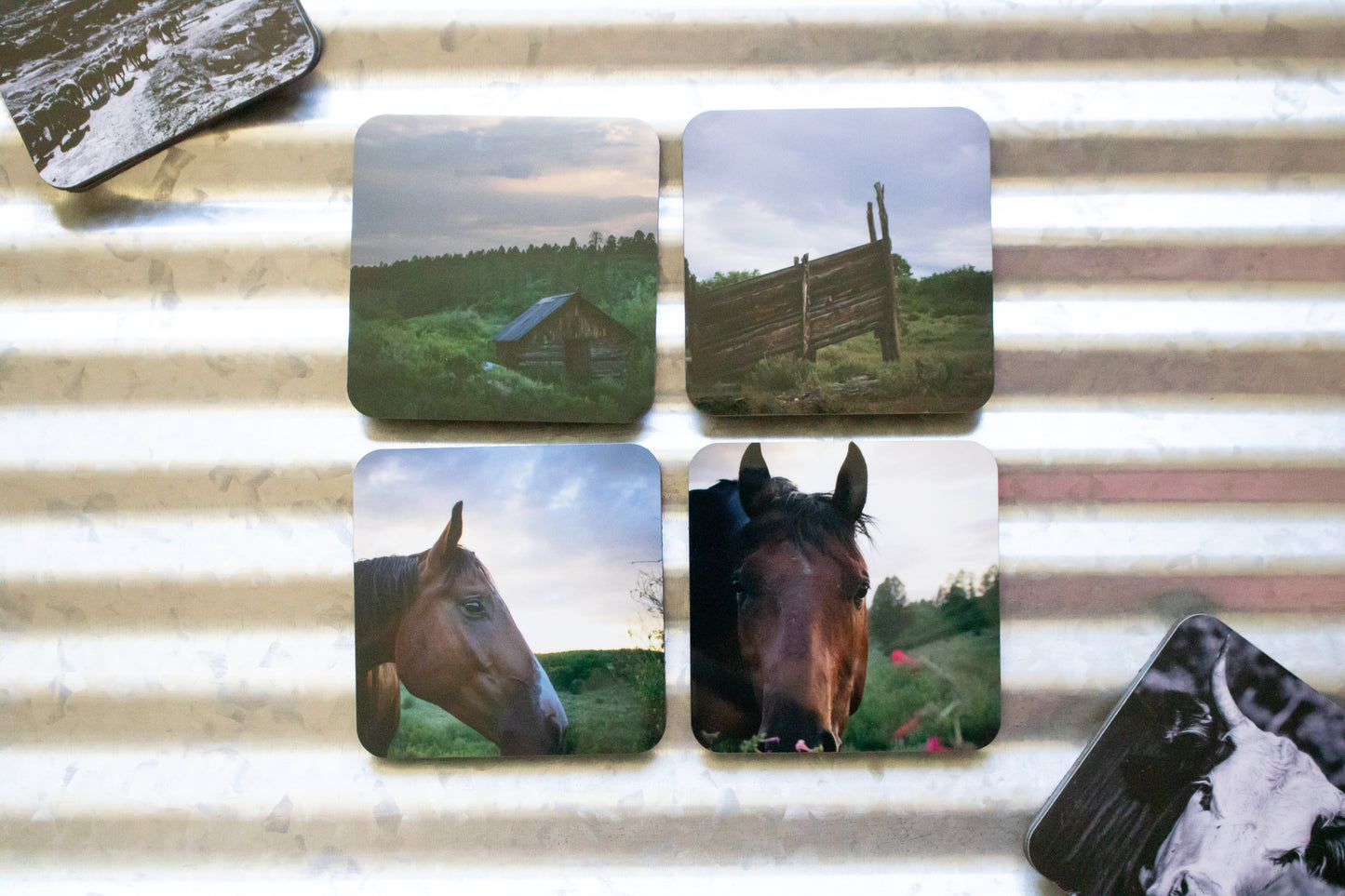 Mountain Collection Coasters