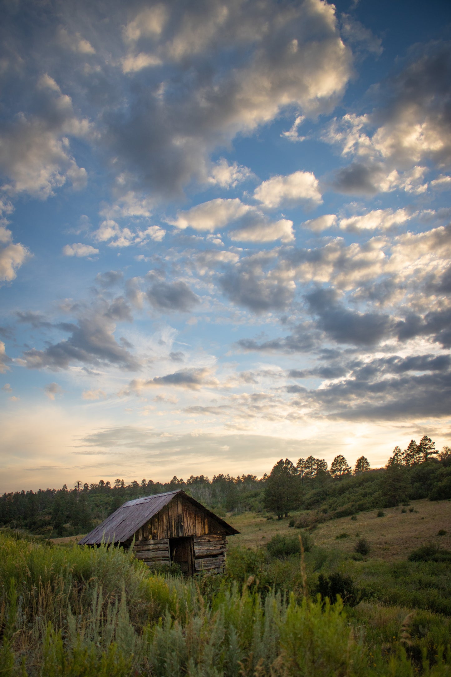 Cole's Cabin 8X10 Print