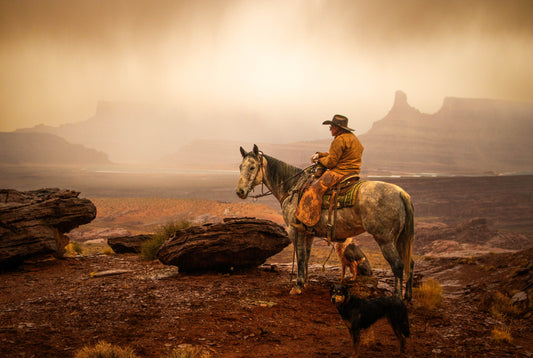 "Tears of the Desert" 11X14 Print