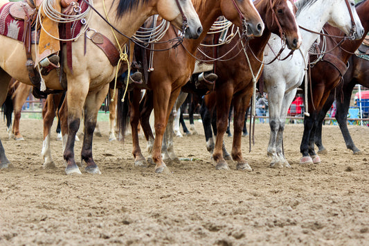 "Cowboys" 11X14 Print